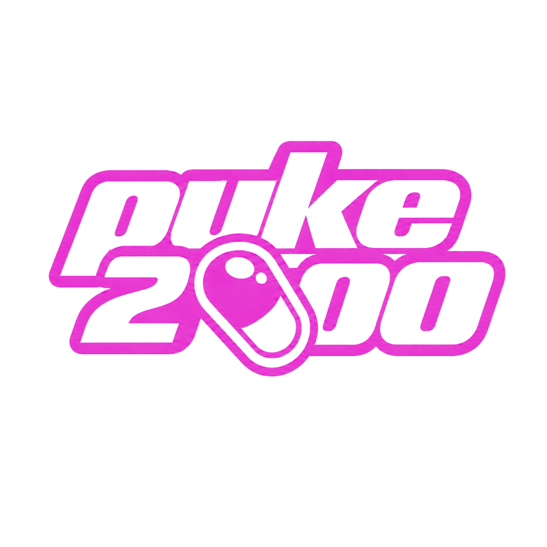 PUKE2000 logo